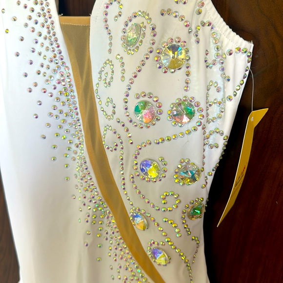 Ballroom Latin Rhythm dance Figure Skating dress costume BRAND NEW - Picture 3 of 4